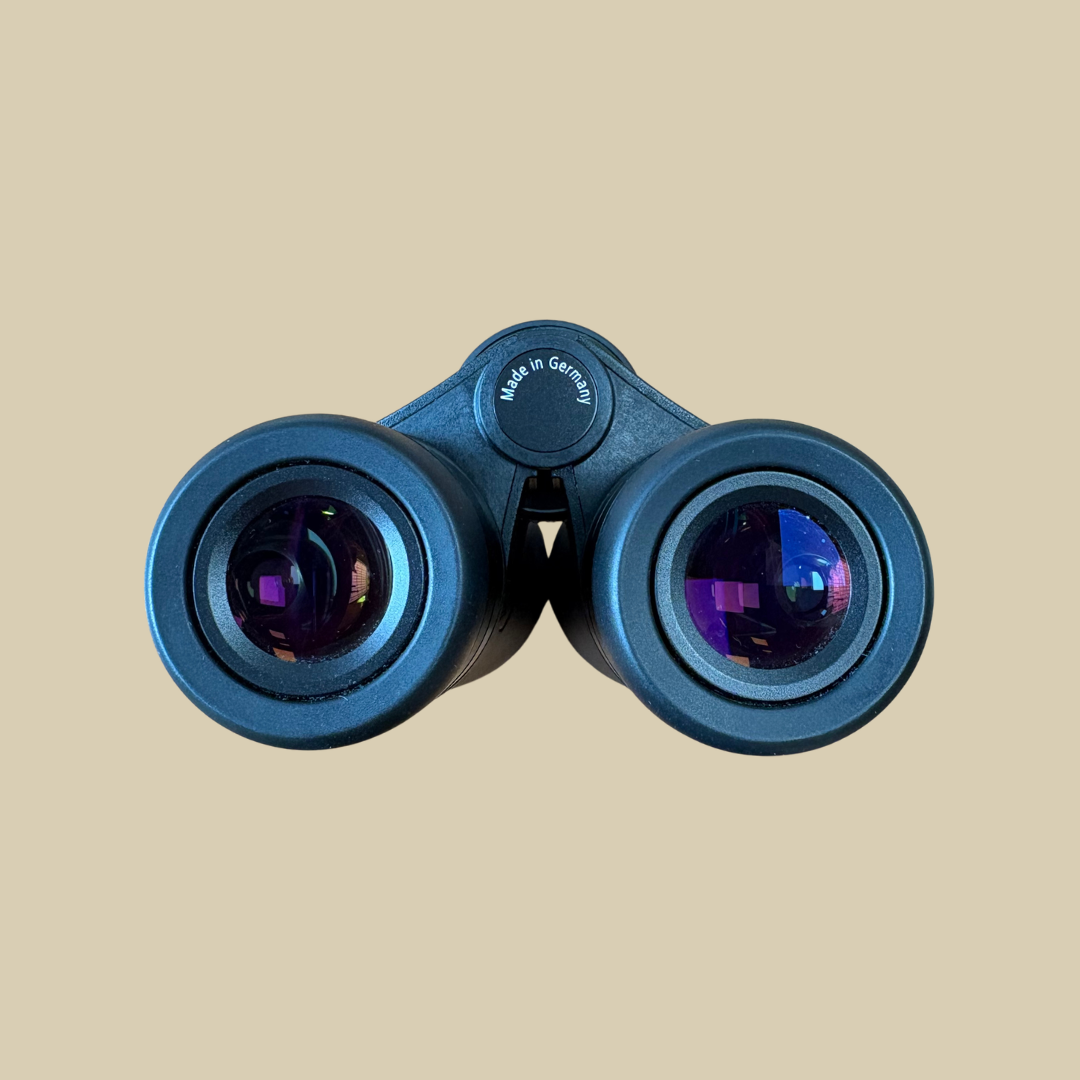 Jumelles Zeiss Victory RF 8x54